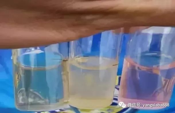 致富经淡水虾养殖视频_致富经室内养虾视频_致富经养虾