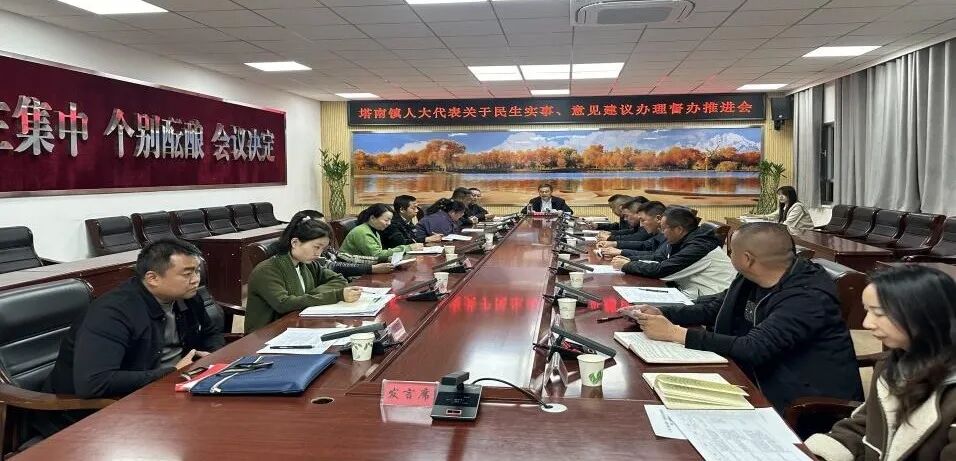 紧盯民生实事 强化督办落实 塔南镇召开人大代表意见建议及民生实事项目督办推进会