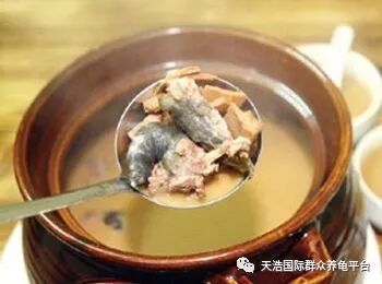 想养生保命的人多看一下,龟能给你带来多少健康财富.-龟友天下