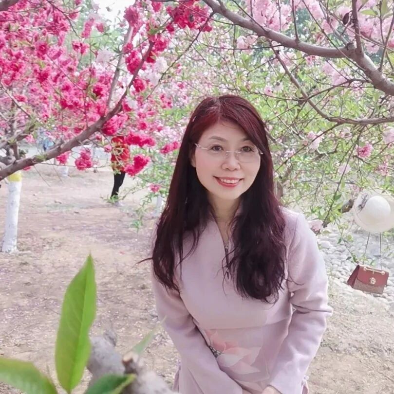 【云帆清音】王湛梅 诗词小辑