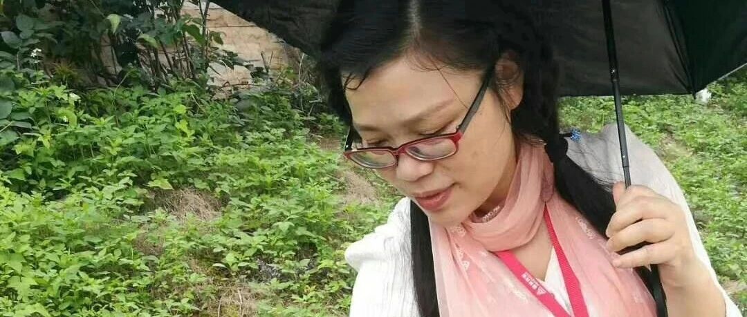 【云帆头条】何其三绝句近稿