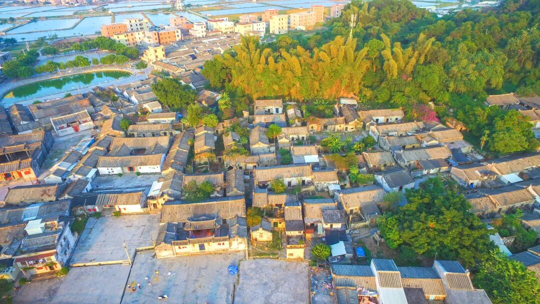 聚焦特色产业发展 助推美丽圩镇建设——驻榕城区地都镇帮镇扶村工作