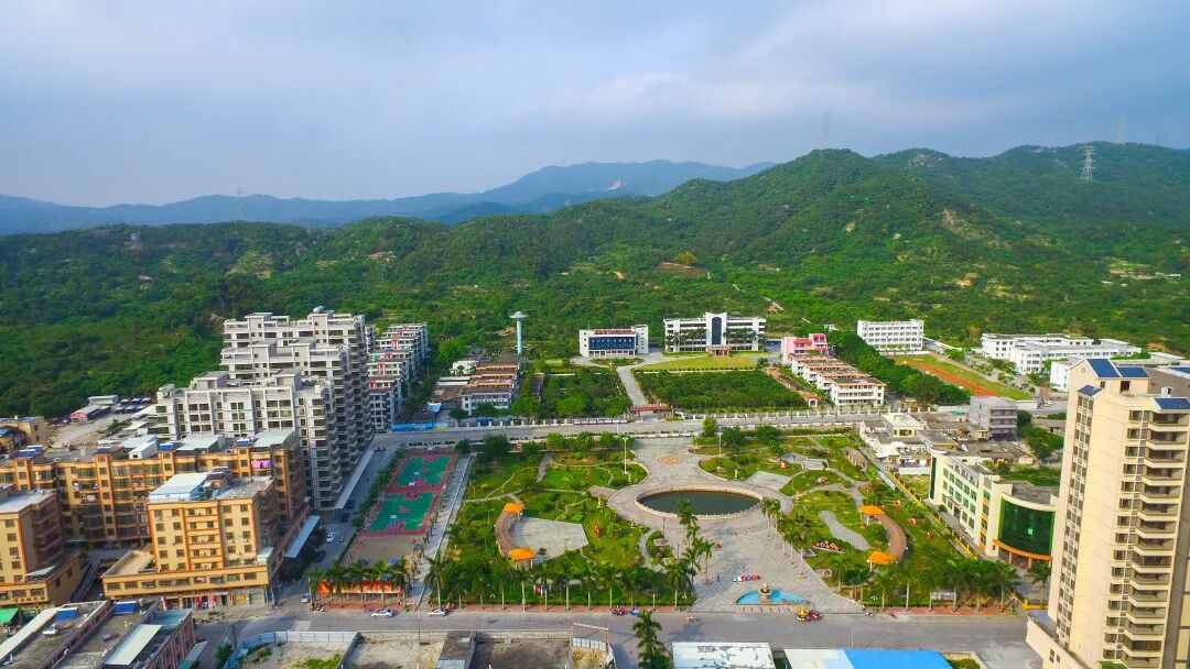 聚焦特色产业发展 助推美丽圩镇建设——驻榕城区地都镇帮镇扶村工作