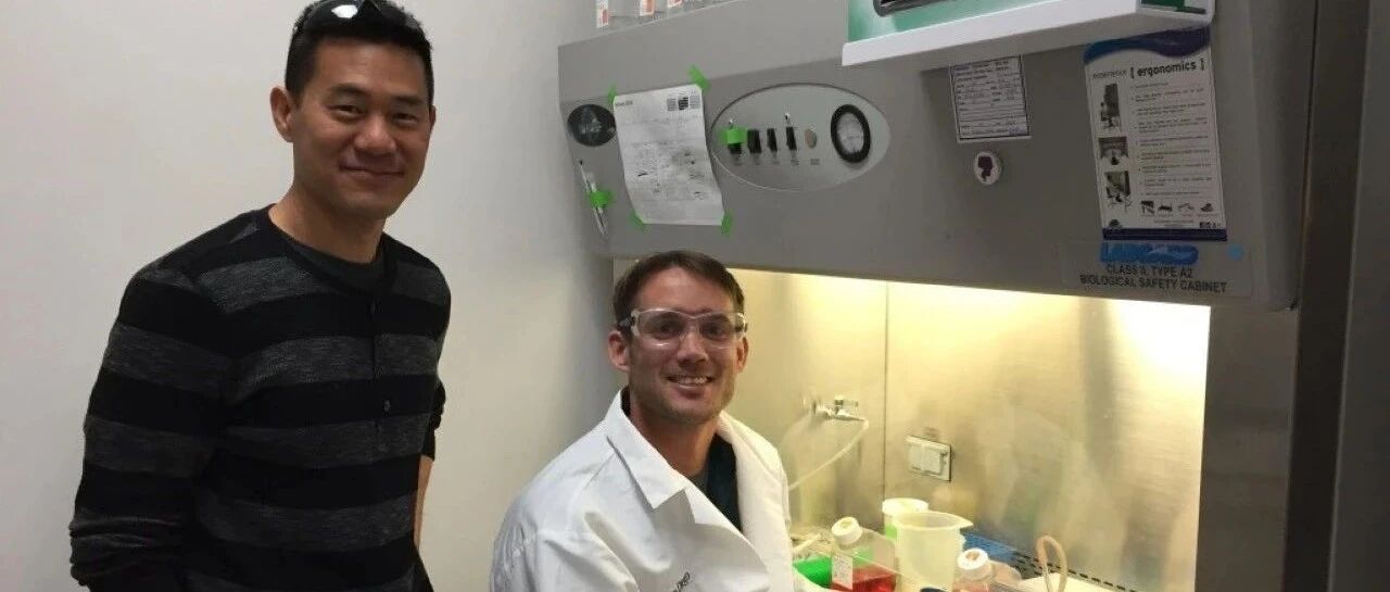 Molecular Cell发现难以治疗癌症的新希望：RNA结合蛋白