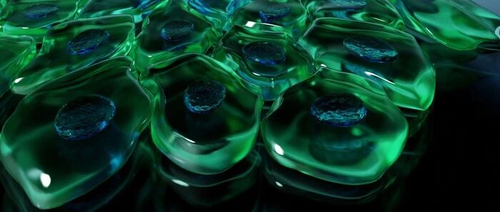 活到99不是梦，人工分子延寿50%并能杀死癌细胞