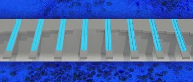 称重癌细胞？MIT发明了新方法