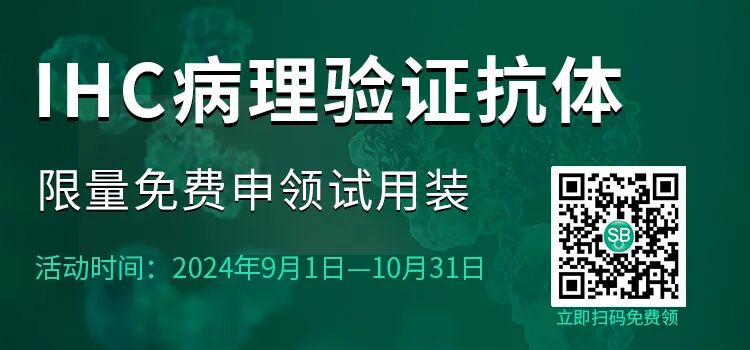 组织块大怎么包埋仅需12步，助你做出完美免疫组化IHC片子_https://www.jmylbn.com_新闻资讯_第7张