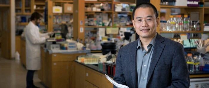 康毅滨Nature Cancer两篇论文：新癌症疗法可以关闭主要癌细胞类型，没有副作用！