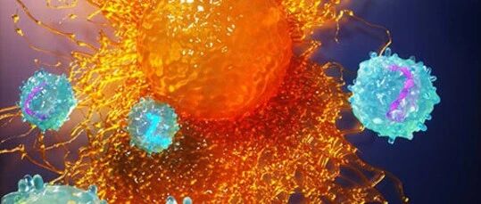 《Nature》新基因组尺度筛选平台，以编程免疫系统