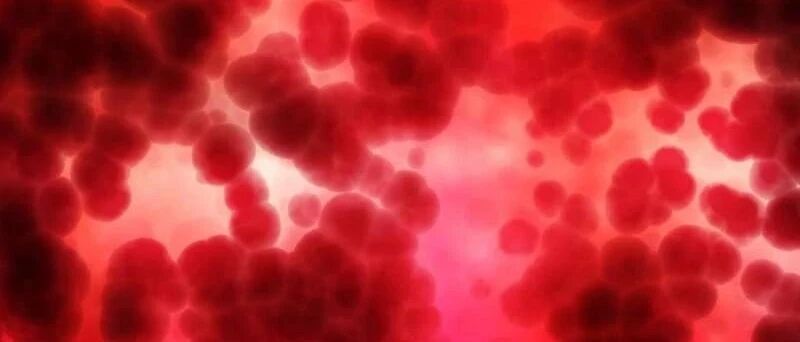 Cancer Cell研究绘制恶性血液病的免疫-基因组学图谱