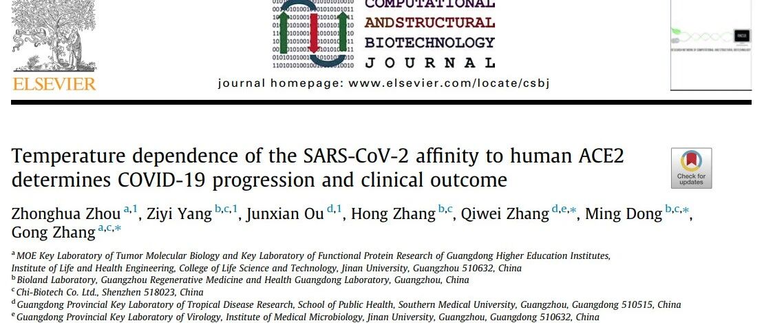 暨大学者最新发现：体温升高可能有助于降低新冠患者死亡率
