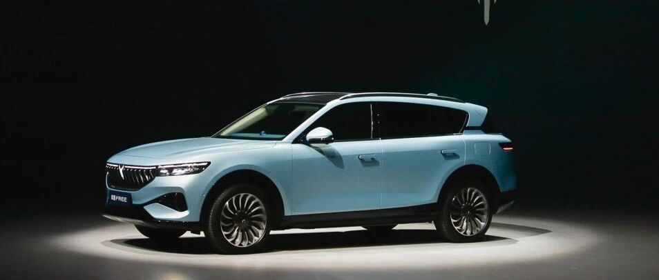 “国家队”参战新造车势力，售价不到40万，岚图FREE有戏嘛？