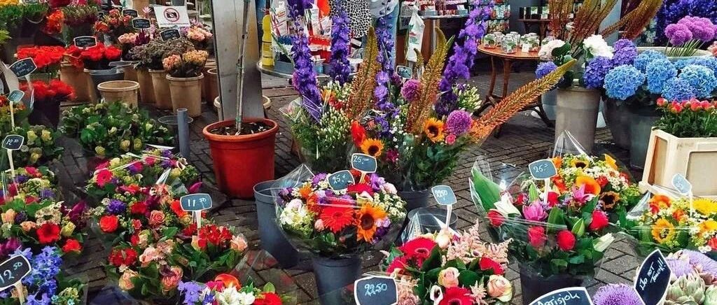 9月逛花市，这八种花放心买，个个都是高颜值，家里养几盆，繁花满枝，漂亮极了！