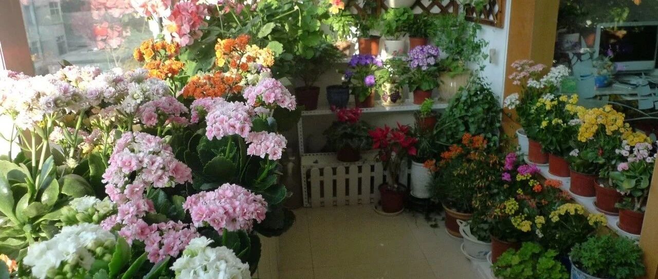 这张表能帮无数花友，喜欢养花的朋友千万别错过！