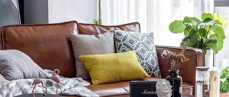 这四种花又美又杀菌，养一盆在家全家少生病！