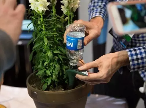 怎么给花施肥?养花人必学,看过来! 怎么给花施肥?养花人必学,看过来!