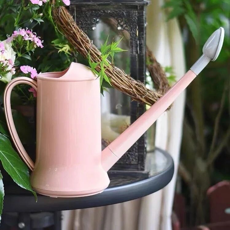 冬天养花，这4种水最好别乱浇，否则黄叶又烂根，一不小心还容易收获空盆！