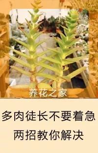 這張表能幫無數花友，喜歡養花的朋友千萬別錯過！ 家居 第56張