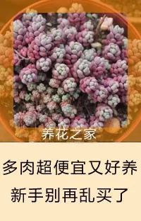 這張表能幫無數花友，喜歡養花的朋友千萬別錯過！ 家居 第51張