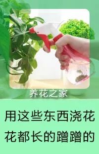 這張表能幫無數花友，喜歡養花的朋友千萬別錯過！ 家居 第12張