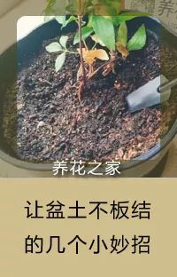 這張表能幫無數花友，喜歡養花的朋友千萬別錯過！ 家居 第27張