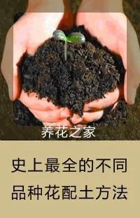 這張表能幫無數花友，喜歡養花的朋友千萬別錯過！ 家居 第21張