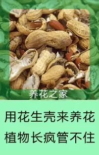 這張表能幫無數花友，喜歡養花的朋友千萬別錯過！ 家居 第8張