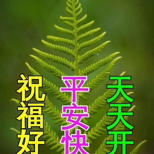 二月初二送祝福，短信问候，开心伴随一天，祝你早安愉快！