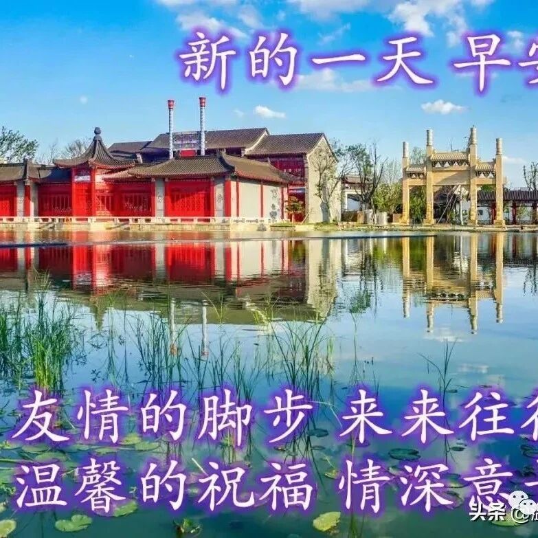 3.8女王节快乐，愿你像微风一样怡人舒爽，朋友，早安！