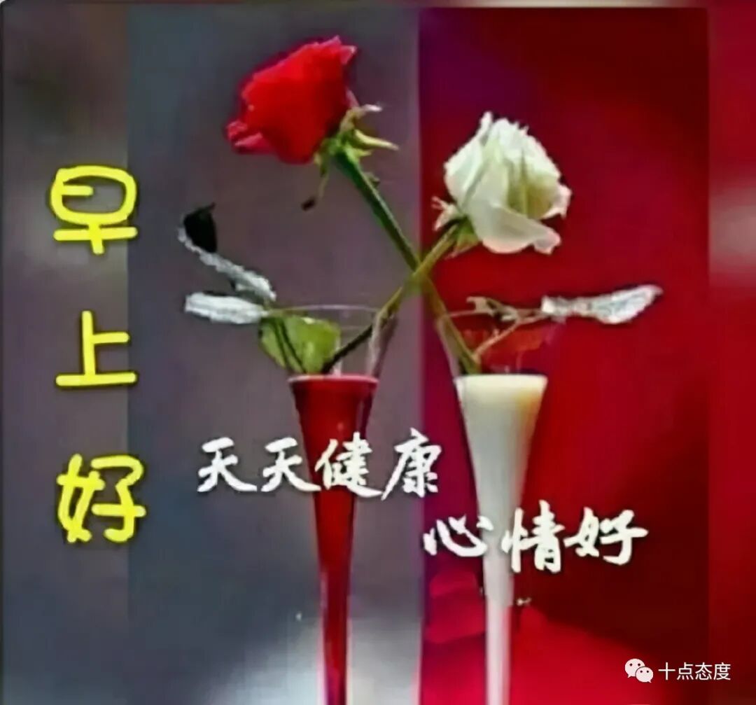 早安 一笑而过 是人生的淡然 也是人生的优雅 早上好 十点态度 微信公众号文章阅读 Wemp
