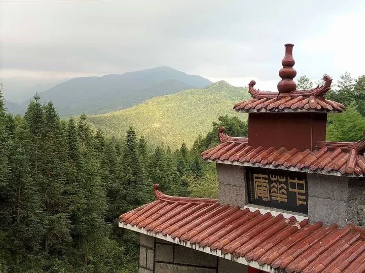 禅修丨福建三明泰宁明行禅院2021年夏两期十日禅修营通告