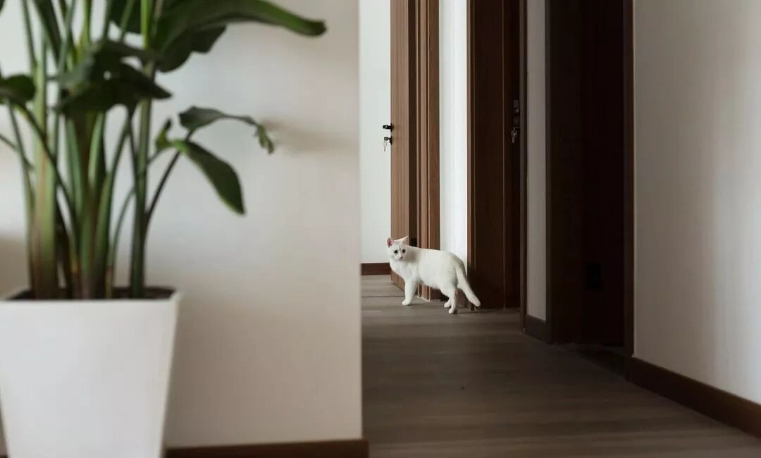 120平原木日式三居，简单干净，温暖舒适！