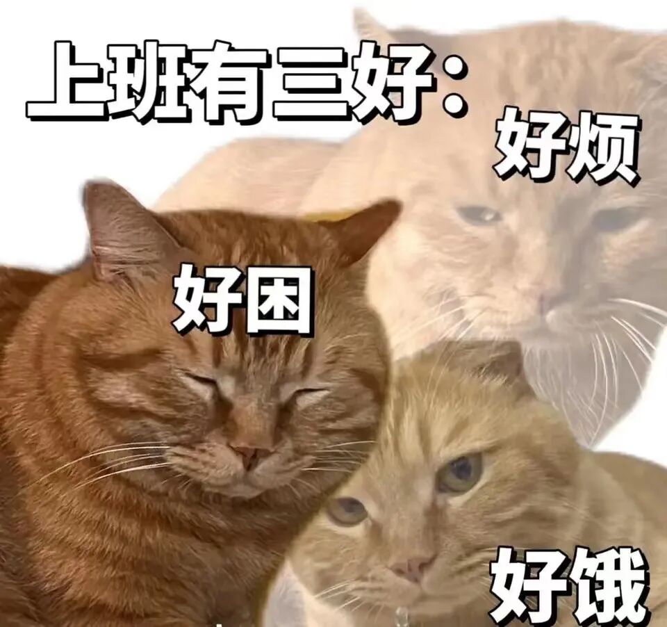 我不想上班了钱包不你想