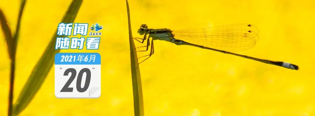 广州到南京高铁 25日起，淮安至南京上海北京高铁将大大增多！