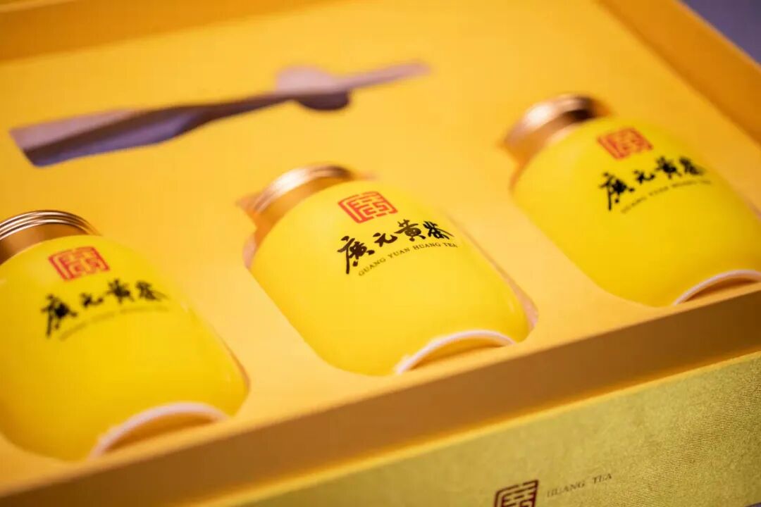 专家说茶广元黄茶为什么好_姑娘茶