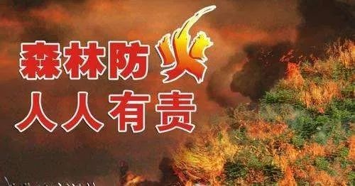 文明祭祀森林防火