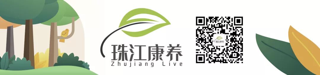广东人都在服用的冬季中药饮片，你不知道就落后了！