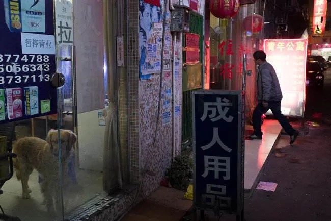 圖片
