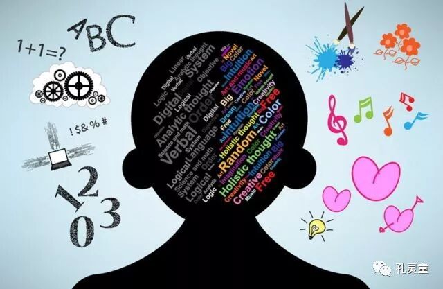 何为全脑教育？看看左脑和右脑怎么说？