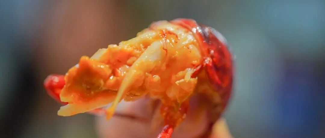 让我心甘情愿放下手机的店，6 家