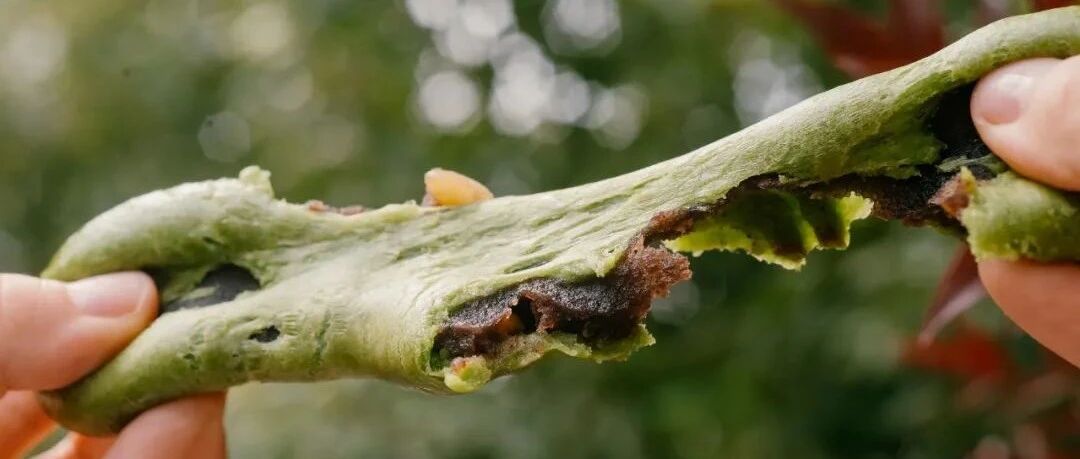 最近我能做到最好的事，是默默坐在家里大吃 ｜可网购