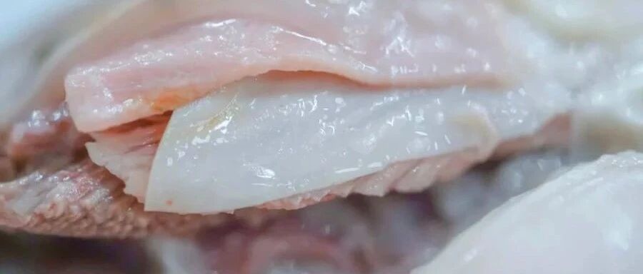 喝早酒吃羊肉，我和社会大哥在凌晨四点吃了顿硬核早饭