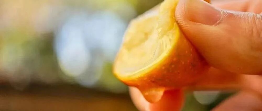 这些岭南冬季最妙的水果，皮薄甜脆，一咬爆汁