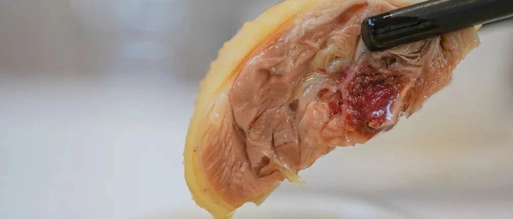 鸡有鸡味，是广东人对一只鸡的最高赞赏！