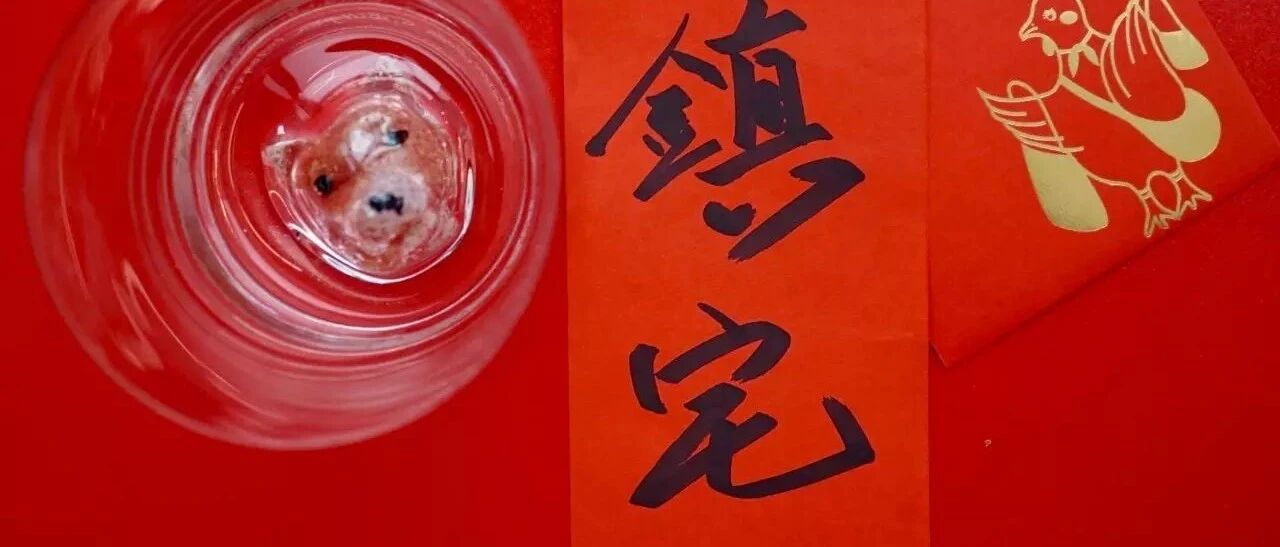 见过最走心的评论，就是满屏的哈哈哈哈哈哈哈哈哈哈