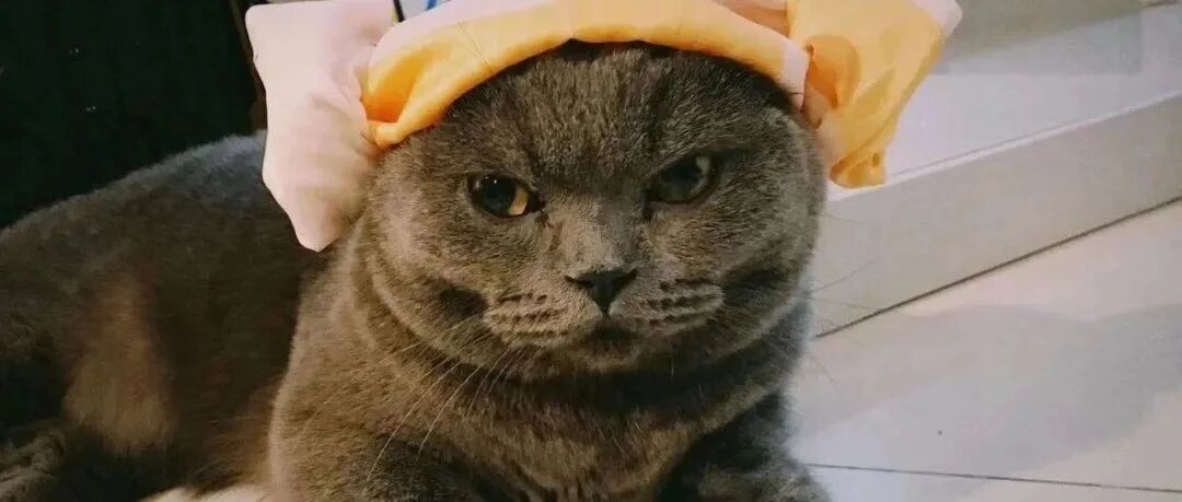 开工第一天，要不考虑下换个工作呗