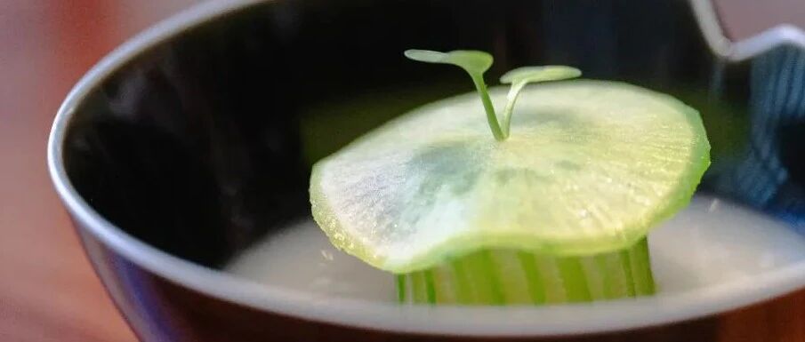 翻车？花 1178 元吃了顿萝卜开会，同事都对我哈哈哈哈哈