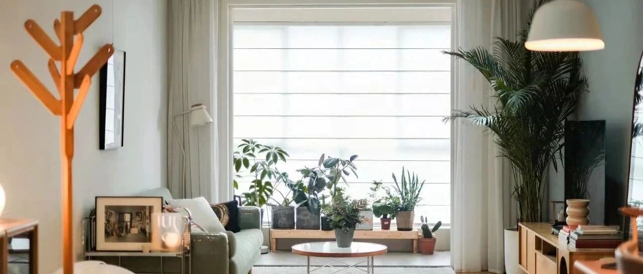 这届年轻人的家里，竟然过上了这种生活？