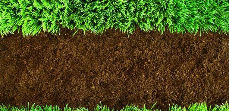 土壤剖面调查技术要点的图1