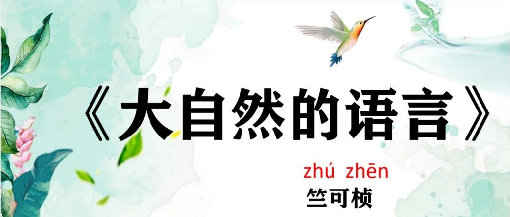 【青春语文·雪玲专栏】于行文思路中晓物候知识，在文章语言中感人物精神       ——《大自然的语言》教学设计